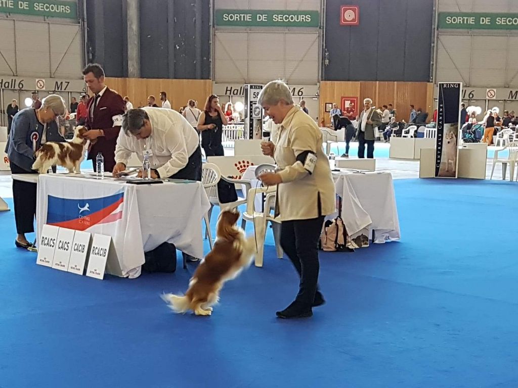 de Tahuva - Superbes résultats au championnat de france