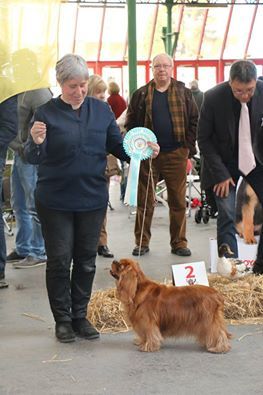 de Tahuva - Résulats de l'exposition de maubeuge