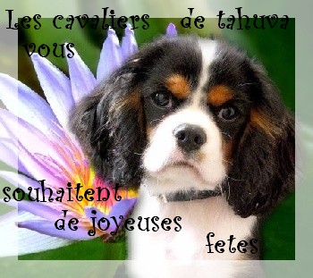 les cartes de voeux