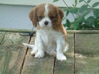 Olympe